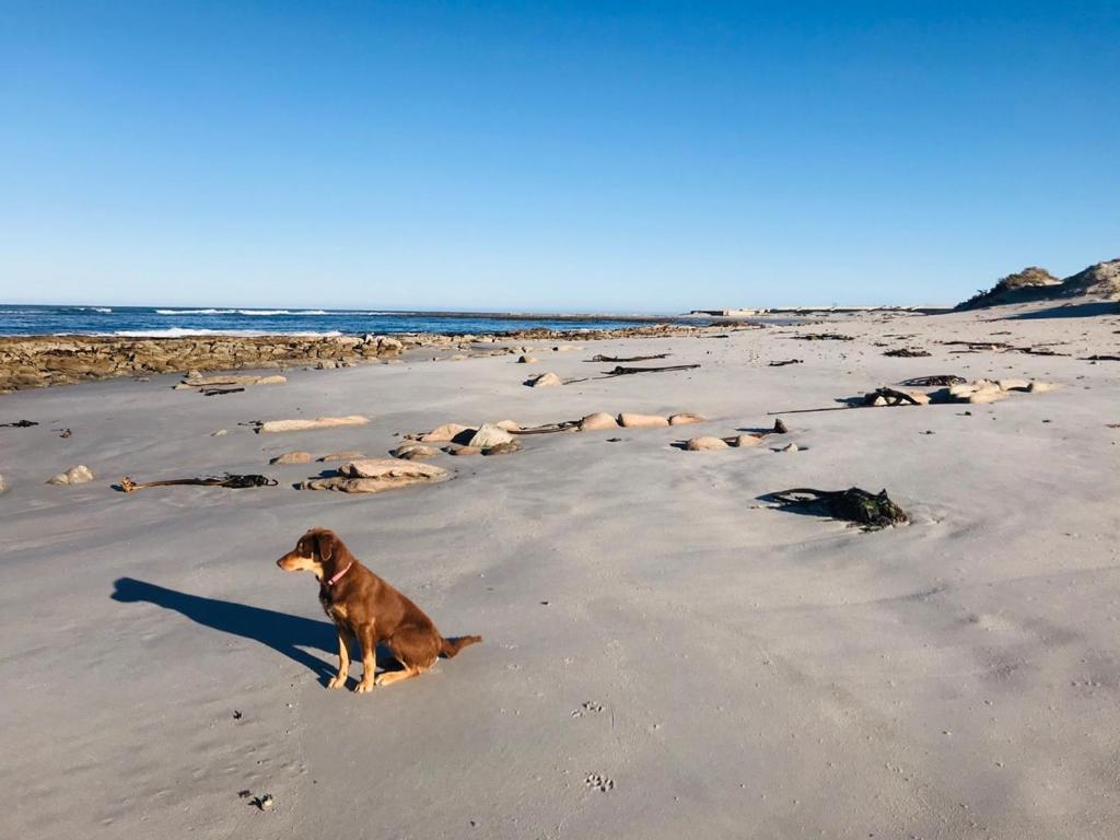 Port Nolloth Beach Shack Eksteriør billede